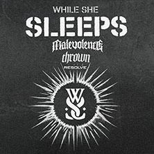 While She Sleeps