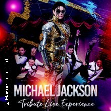 Michael Jackson Tribute Live Experience