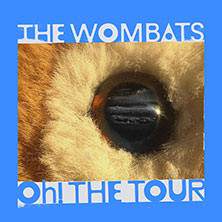 The Wombats