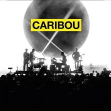 Caribou